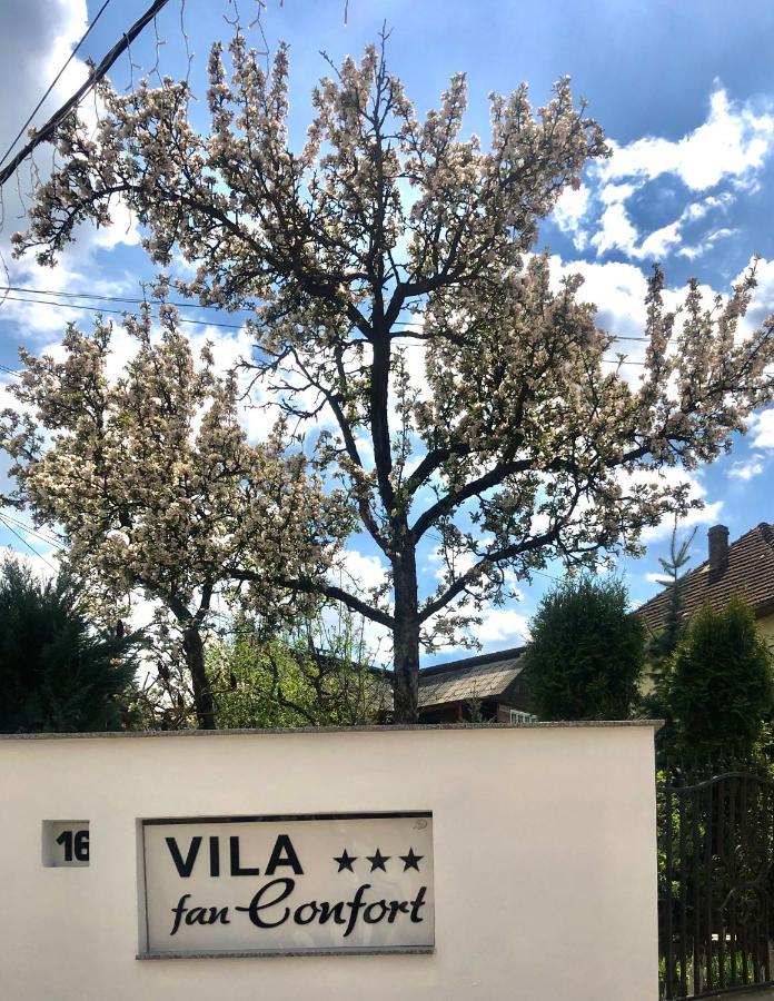 Vila Fan Confort Vişeu de Sus エクステリア 写真